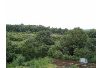 Bulgārija Chata Velika, Eksterjers